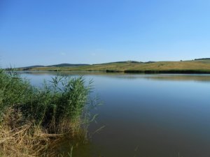 Lacul Bala