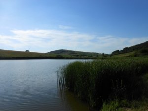 Lacul Bala