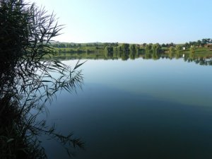 Lacul Saulia