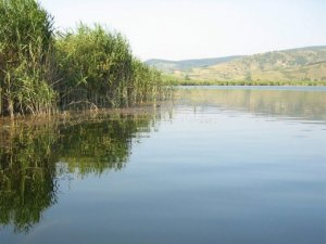 Lacul Stiucilor