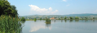 Lac Dorolea cover