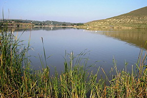 Lacul Saulia