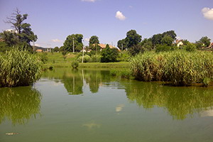 Lacul Verde