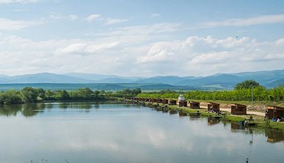 Lacurile Sibiu