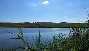 Lacul Toldal