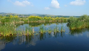 Lacuri Santioana